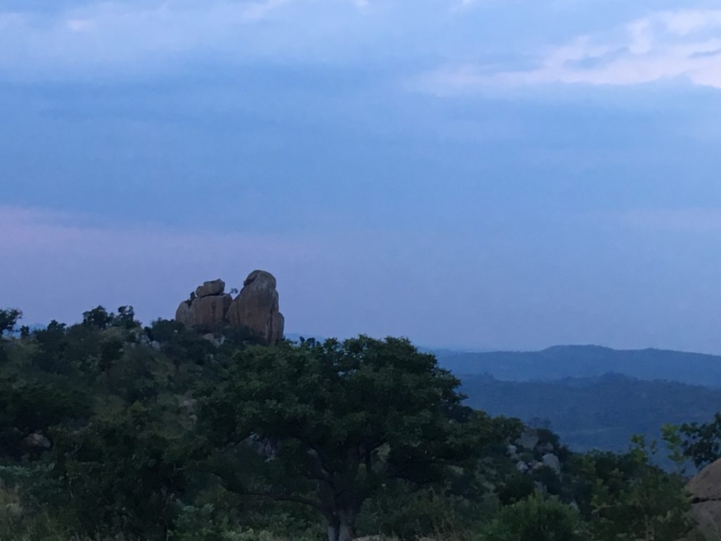 Safari in South Africa