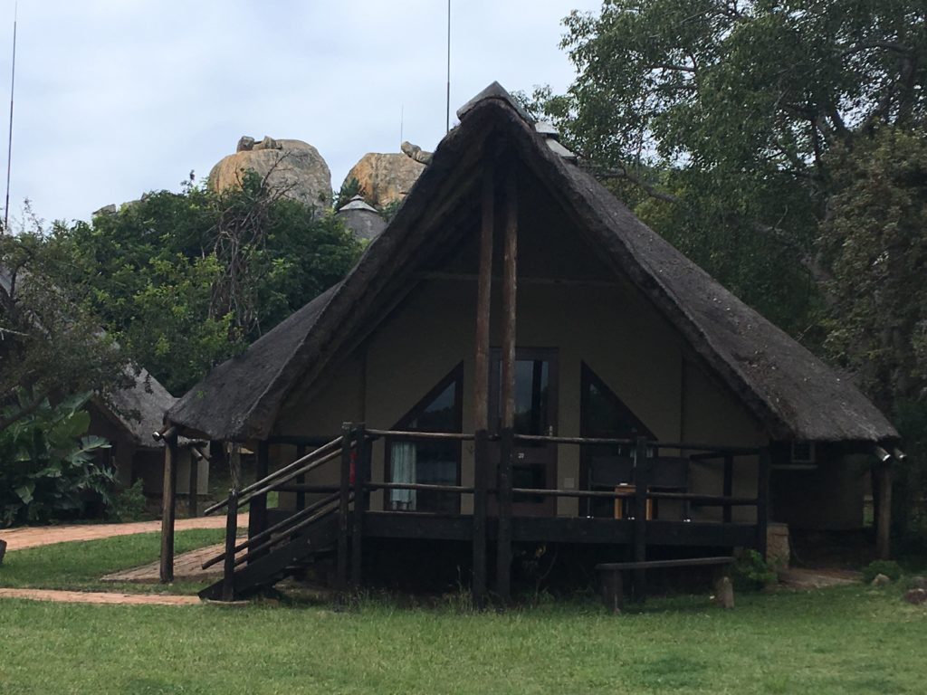 Safari in South Africa